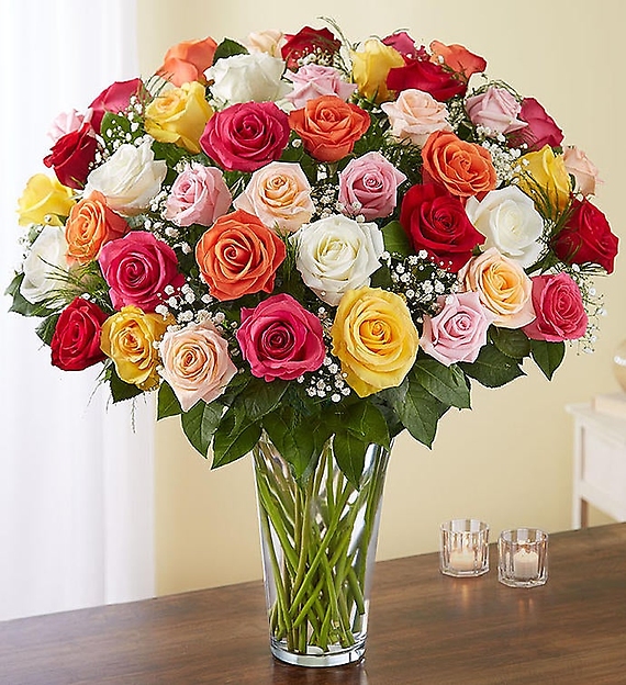 24 Long Stem Assorted Roses