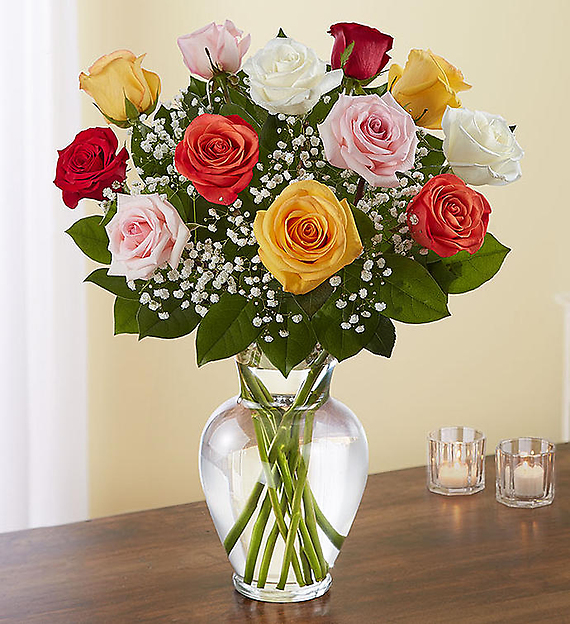 12 Premium Long Stem Assorted Roses