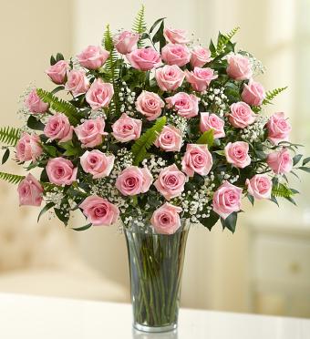 36 Premium Long Stem Pink Roses