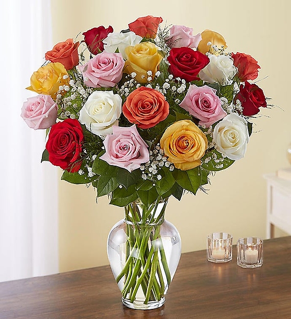 24 Long Stem Assorted Roses