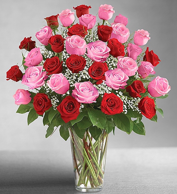 36 Long Stem Pink &amp; Red Roses