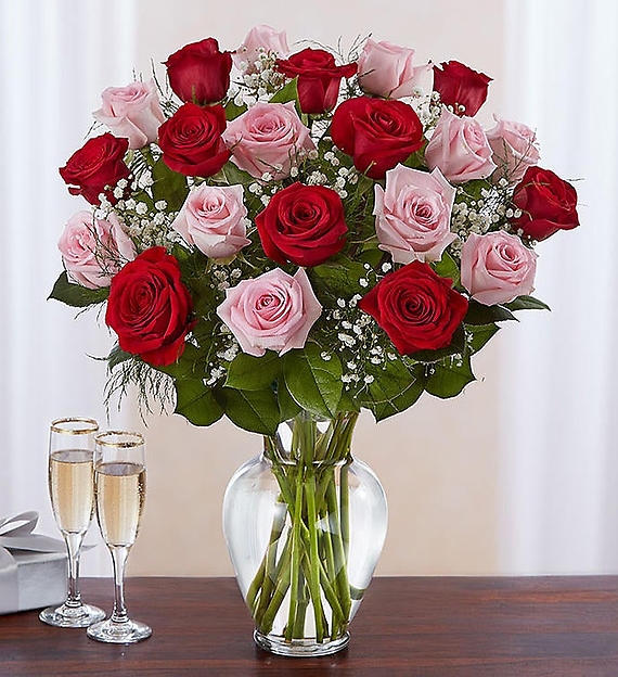 24 Long Stem Pink &amp; Red Roses