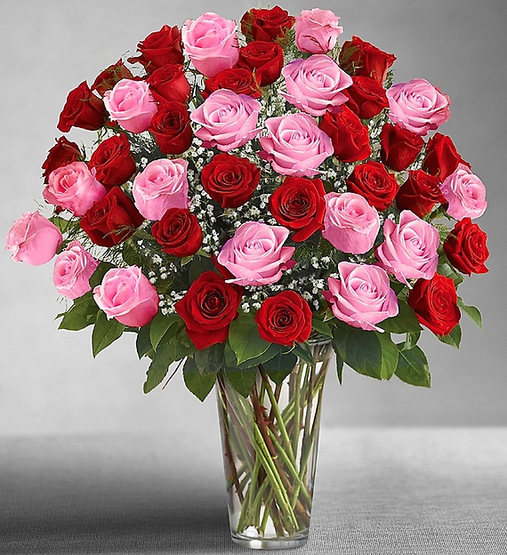 36 Long Stem Pink &amp; Red Roses