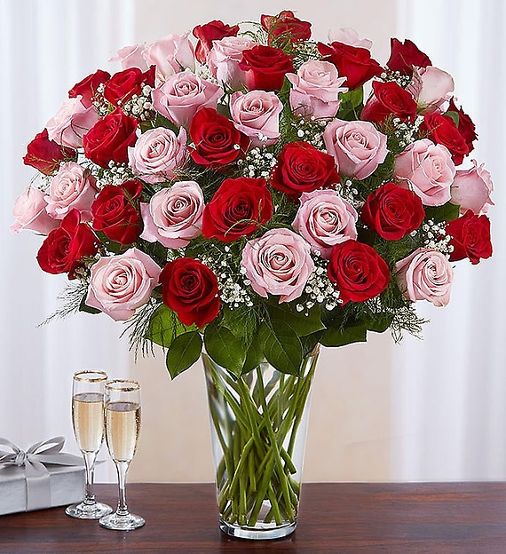 24 Long Stem Pink &amp; Red Roses