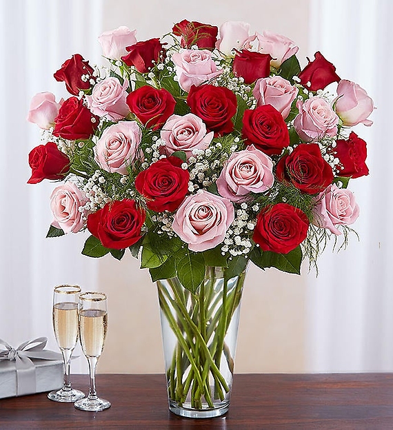 24 Long Stem Pink &amp; Red Roses