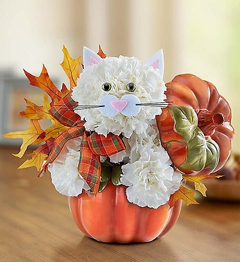 Fabulous Feline&trade; for Fall